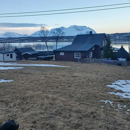 豪华帐篷 Stetind Skicamp *